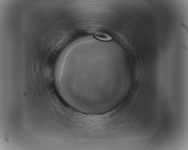X0000101190031200807110955
