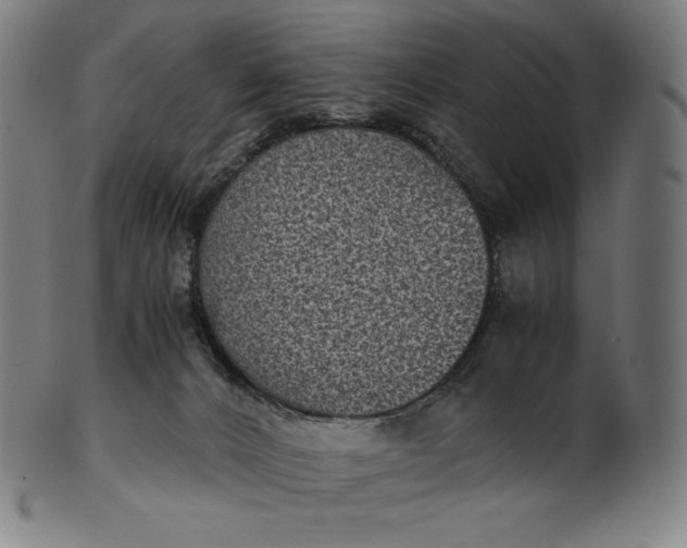 X0000101190032200807110955