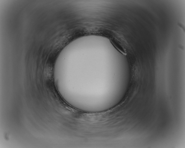 X0000101190033200807110955