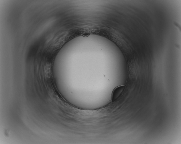 X0000101190034200807110955