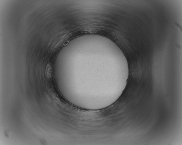 X0000101190036200807110955