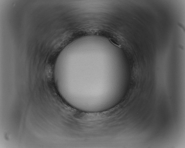 X0000101190037200807110955