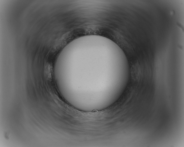 X0000101190038200807110955