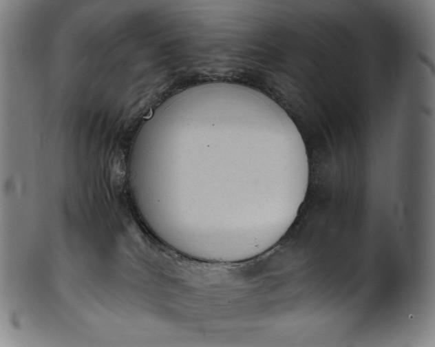 X0000101190040200807110955
