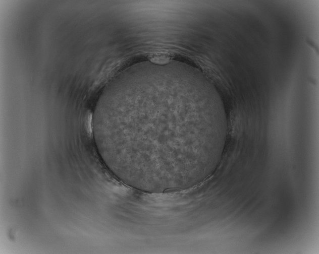 X0000101190041200807110955