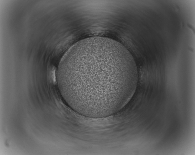 X0000101190042200807110955
