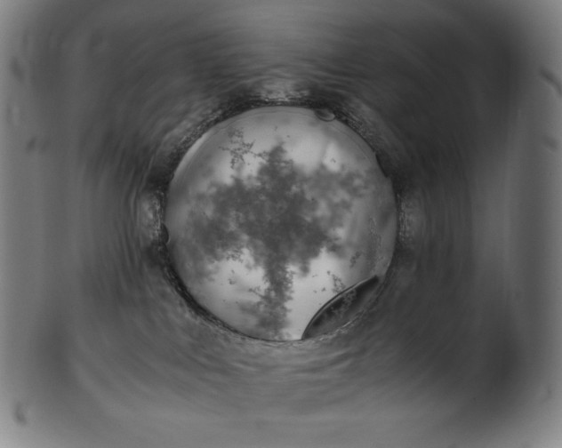 X0000101190043200807110955