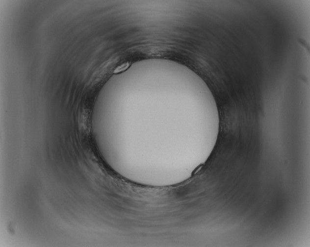 X0000101190044200807110955