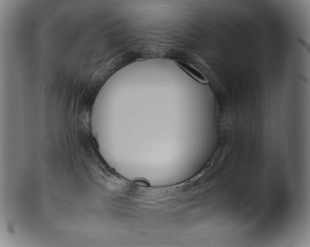 X0000101190045200807110955