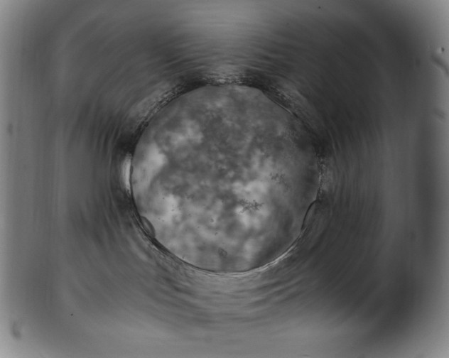 X0000101190047200807110955