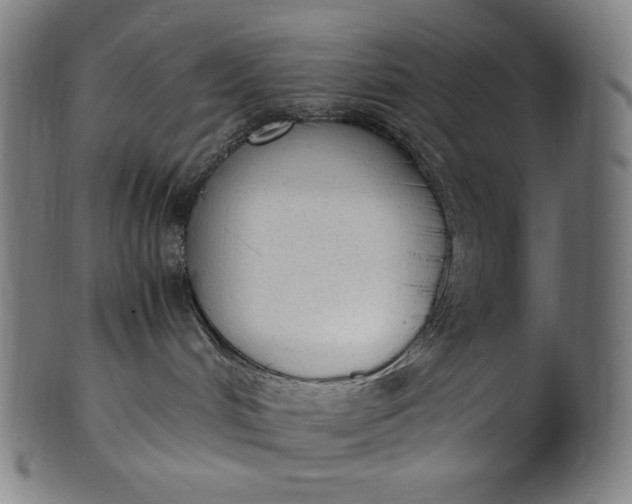 X0000101190048200807110955