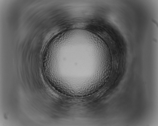 X0000101190049200807110954