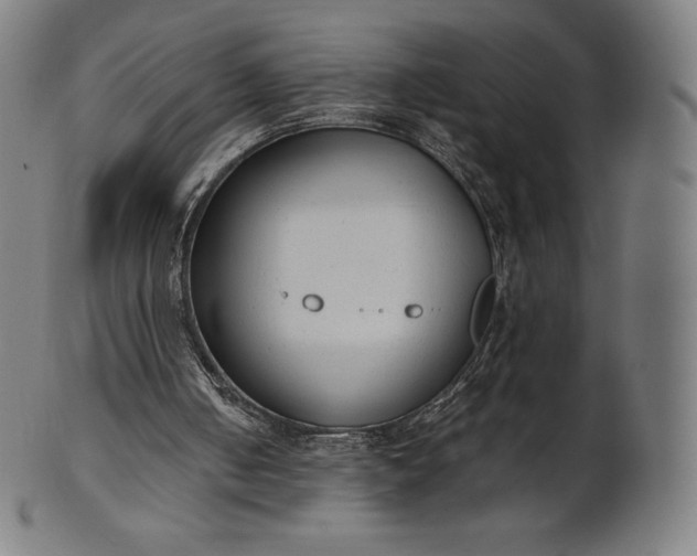 X0000101190050200807110954