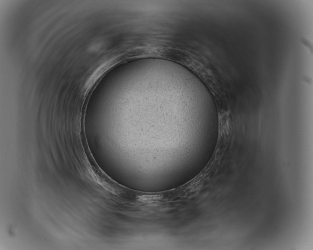 X0000101190051200807110954