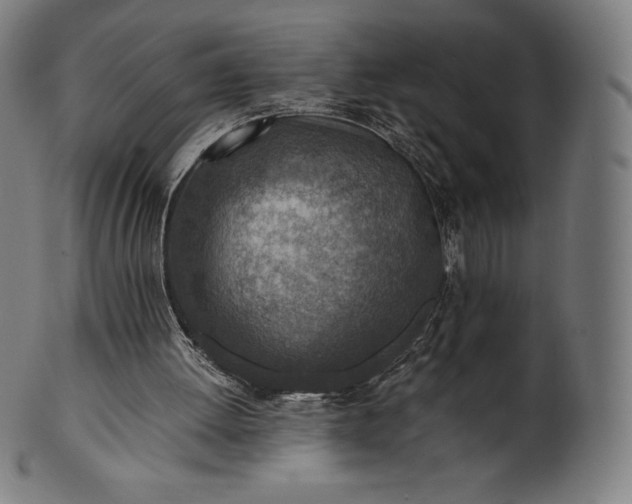 X0000101190052200807110954