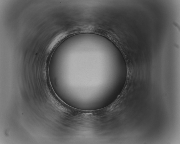 X0000101190054200807110954
