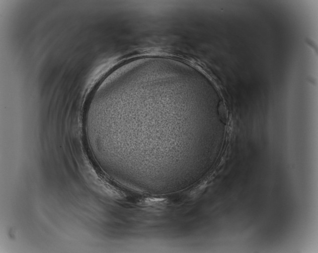 X0000101190055200807110954