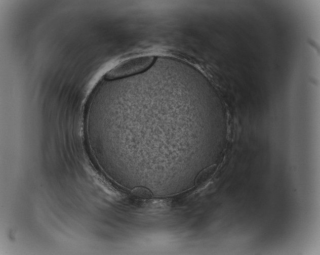 X0000101190056200807110955