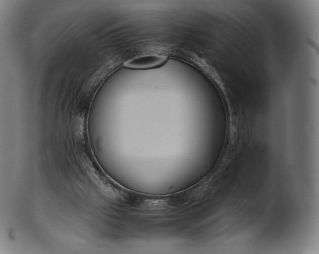 X0000101190057200807110955