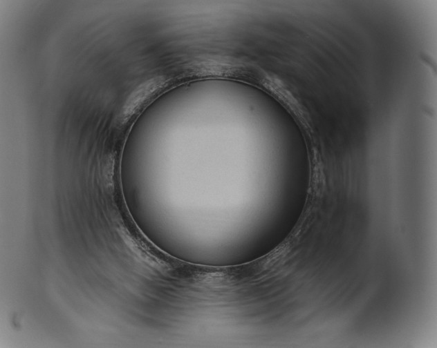 X0000101190058200807110955