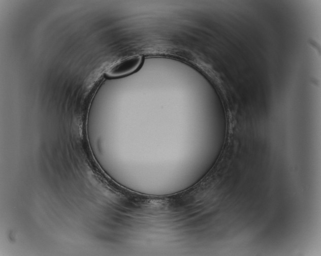 X0000101190060200807110955