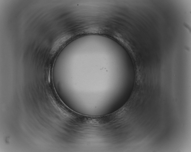X0000101190062200807110955