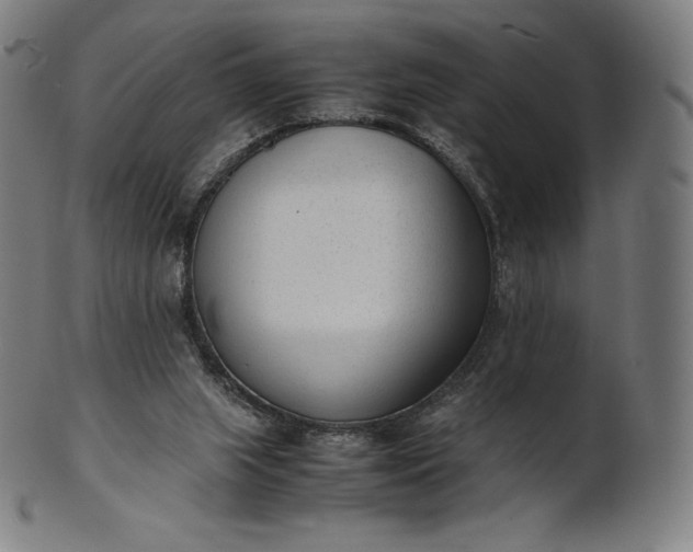 X0000101190063200807110955