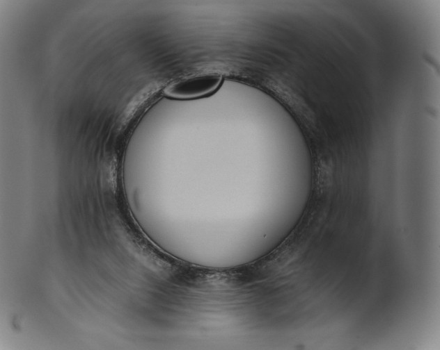 X0000101190064200807110955