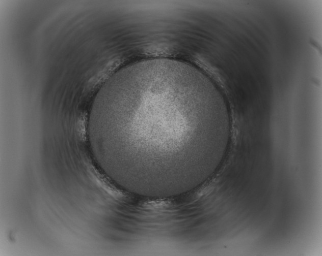 X0000101190065200807110955