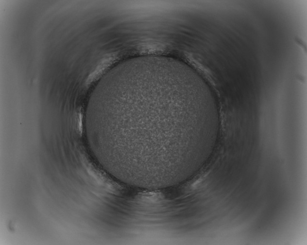 X0000101190067200807110955