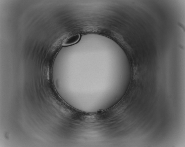 X0000101190068200807110955