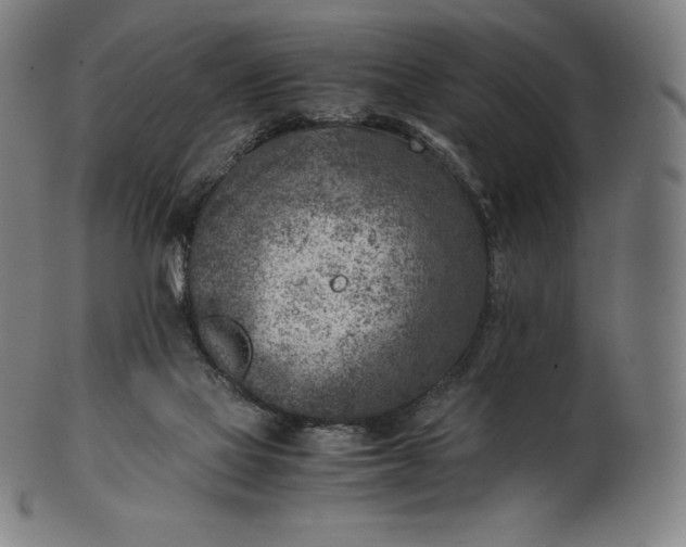 X0000101190069200807110955