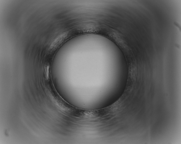 X0000101190070200807110955