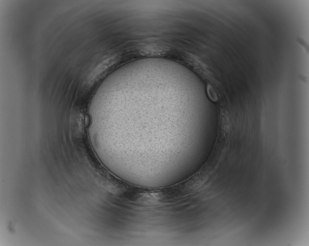 X0000101190071200807110955
