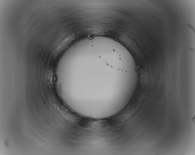 X0000101190072200807110955