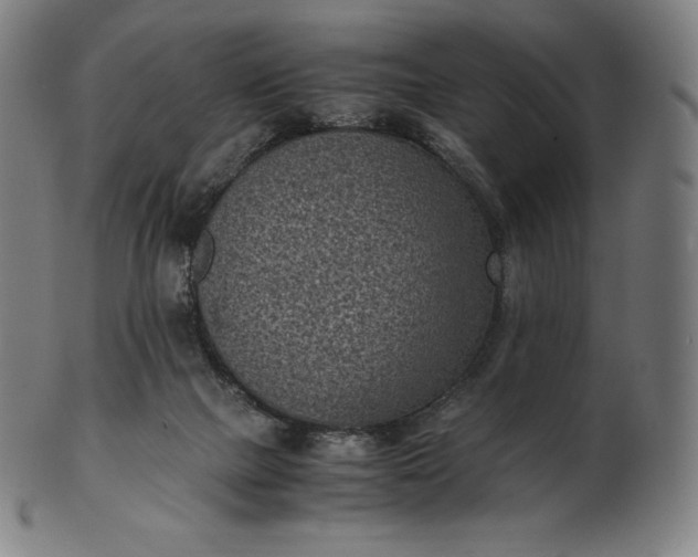 X0000101190073200807110955
