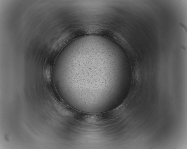 X0000101190074200807110955