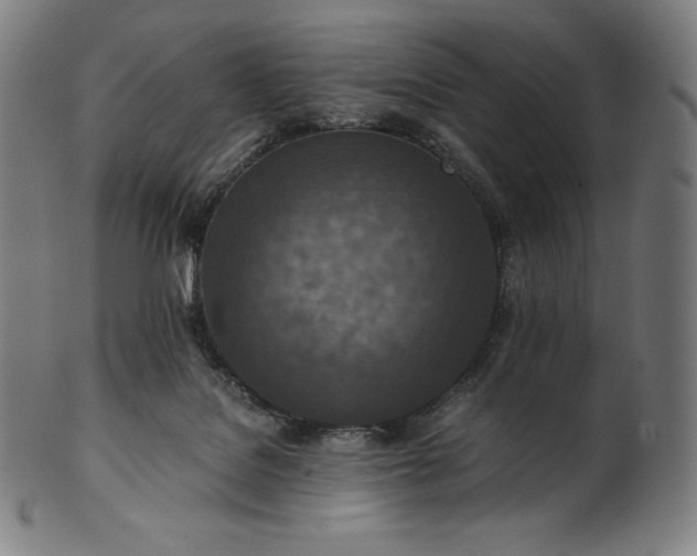 X0000101190076200807110955
