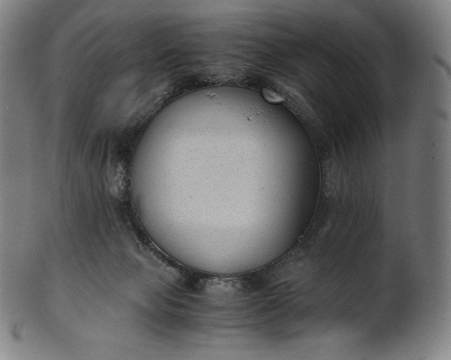 X0000101190077200807110955