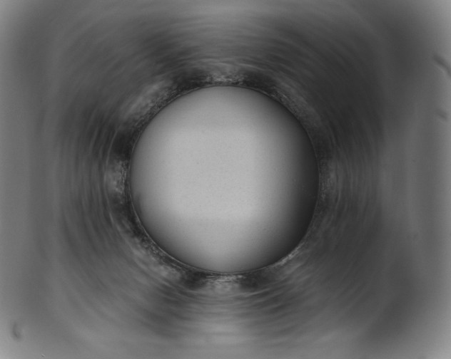 X0000101190078200807110955