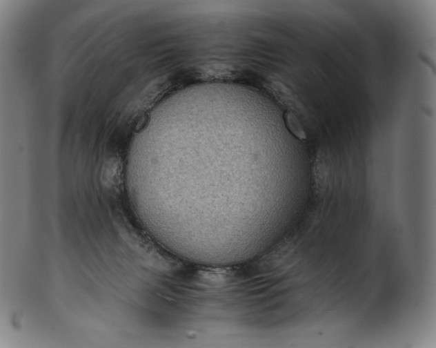 X0000101190079200807110955