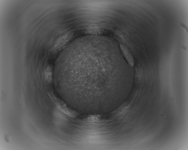 X0000101190080200807110955