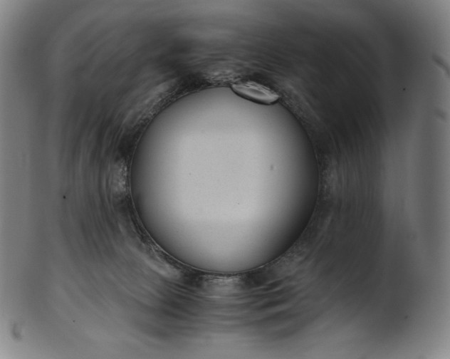 X0000101190081200807110955