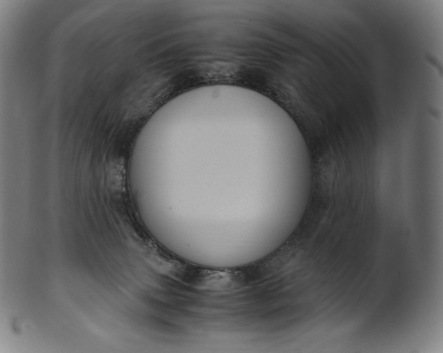 X0000101190083200807110955