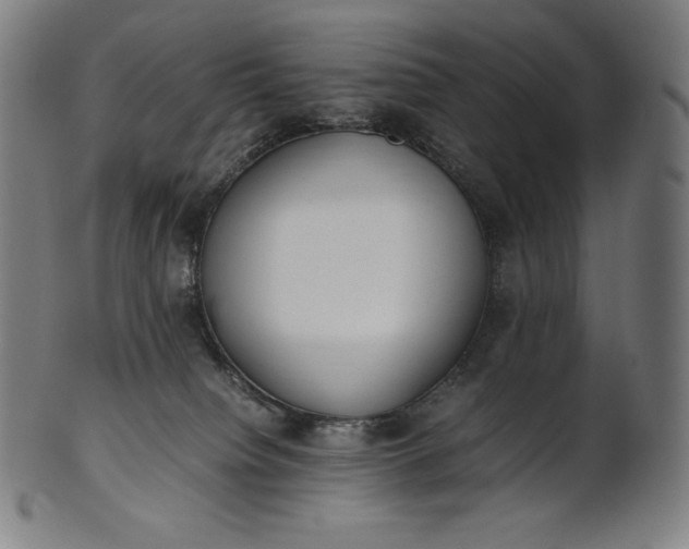 X0000101190084200807110955