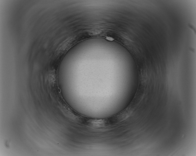 X0000101190085200807110955