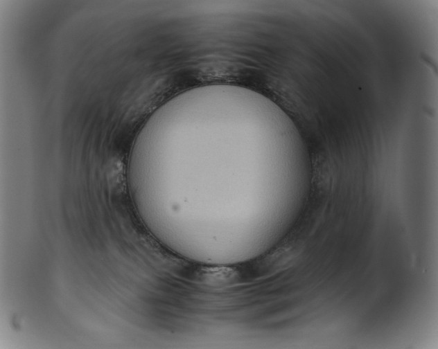 X0000101190087200807110955