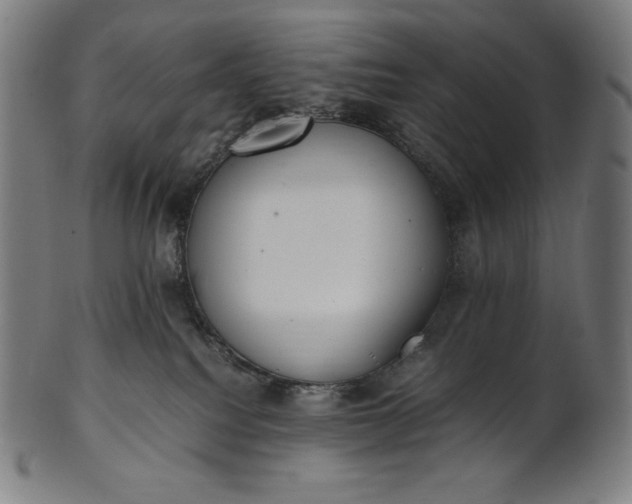 X0000101190088200807110955
