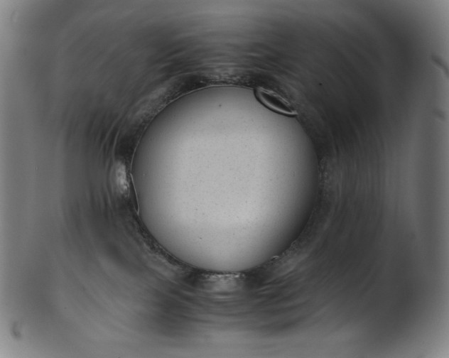 X0000101190089200807110955