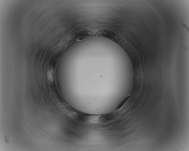 X0000101190090200807110955